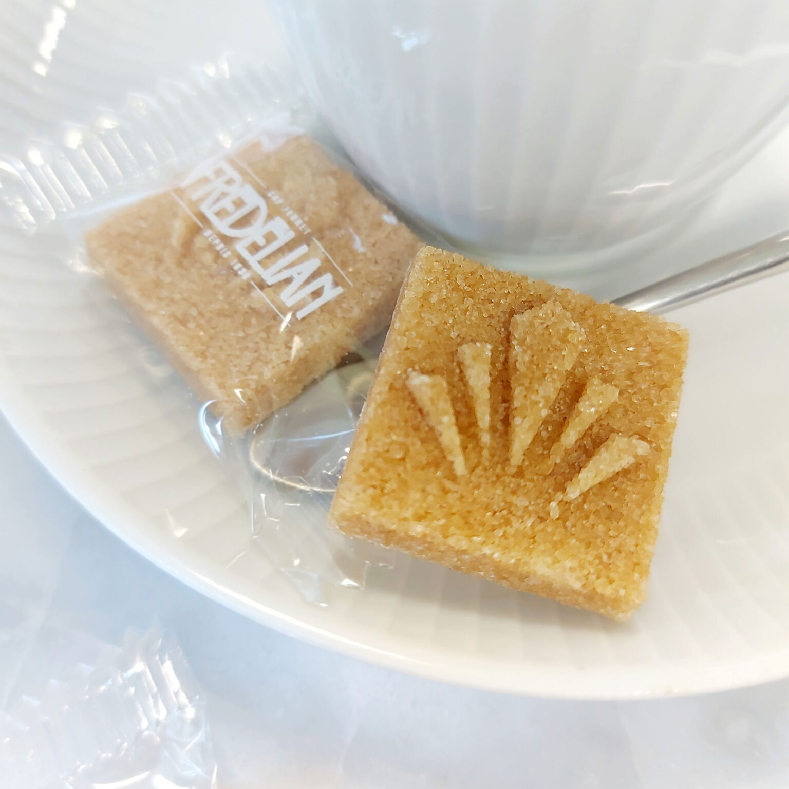 perso-sucre-FREDELIAN