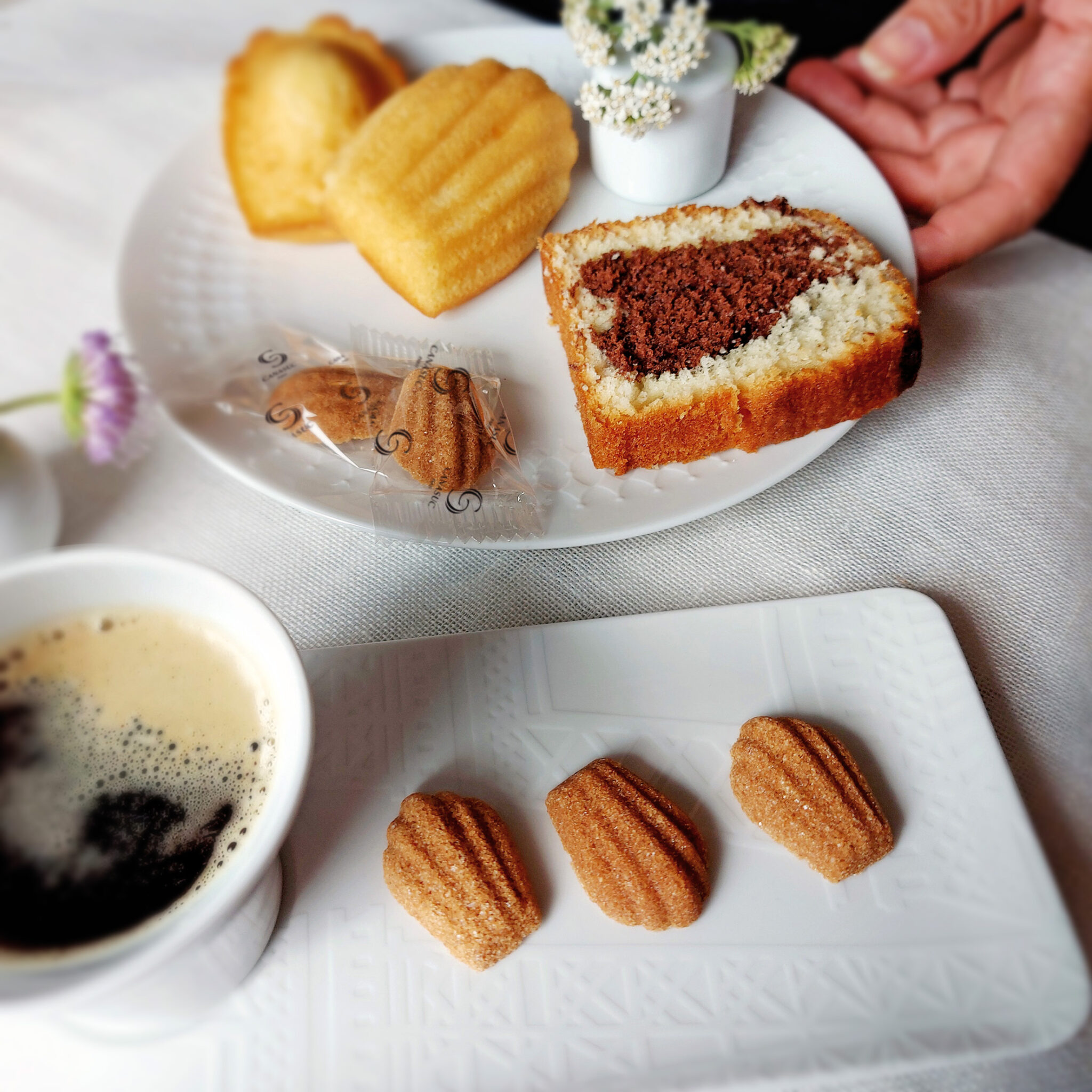 Gouter Sucre roux - Goûter à Paris - CANASUC
