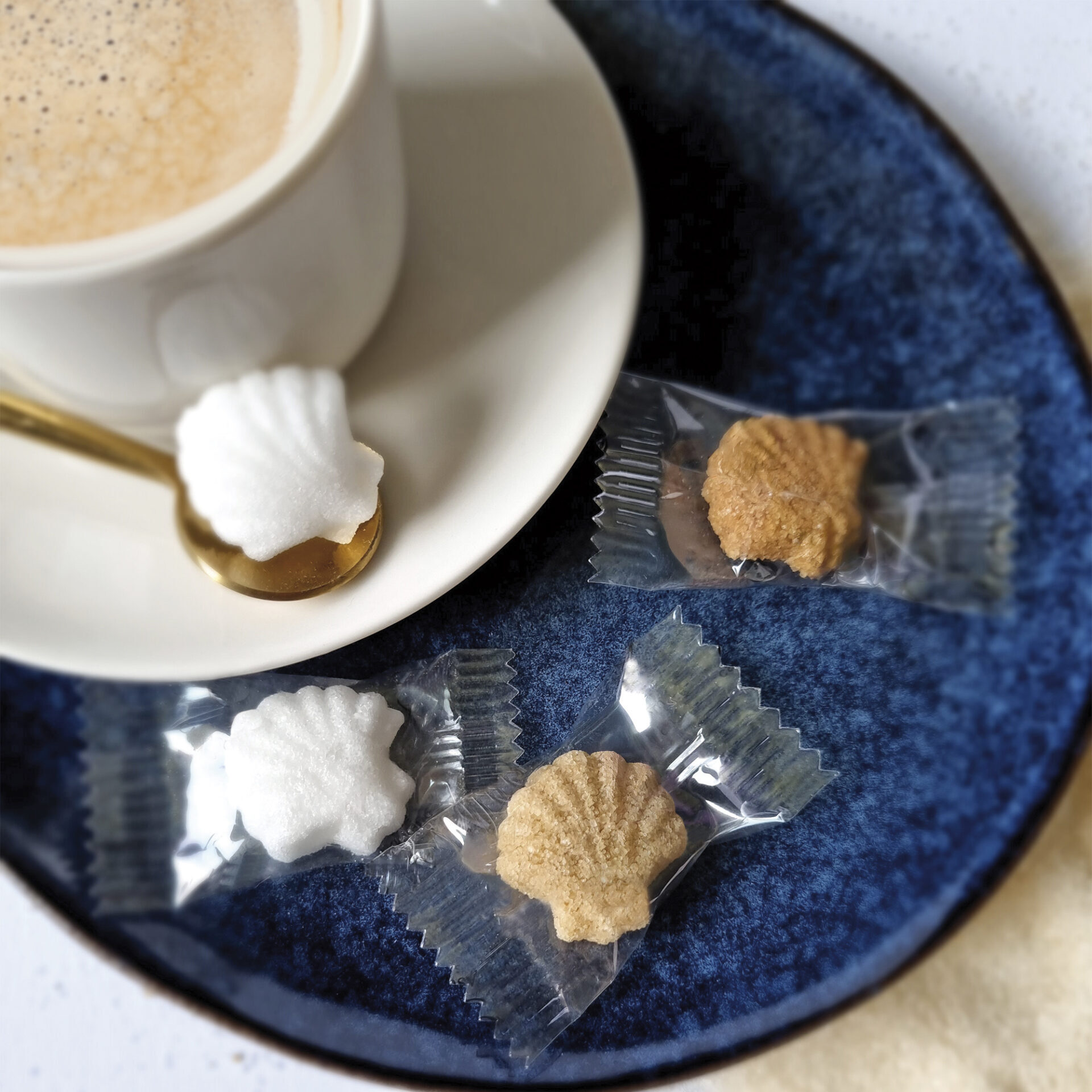 Sucres moulés en forme de coquille St Jacques pour sucrer les boissons chaudes