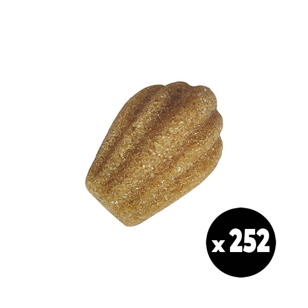 sucre roux en forme de madeleine